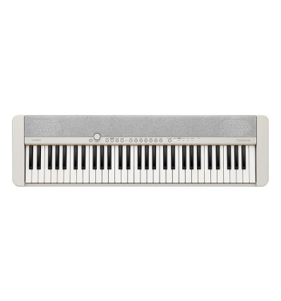 CASIO CT-S1WE