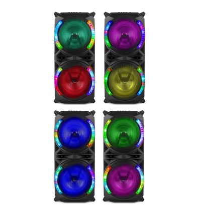 FENTON 178.37 LIVE280 CONJUNTO KARAOKE 2X 8”