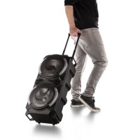 FENTON 178.37 LIVE280 CONJUNTO KARAOKE 2X 8”