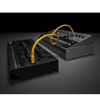 ROLAND JD-08 versión portátil moderna del JD-800.