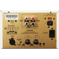 Amplificador de potencia mono de 215W. Amplificador de potencia mono de 215W.