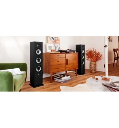 POLK AUDIO MXT 60