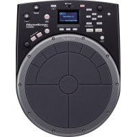 ROLAND HPD-20