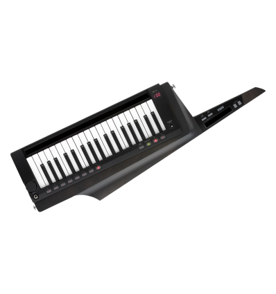 KORG RK-100S 2 BK