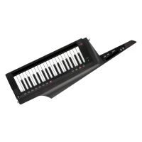 Korg RK-100S 2 BK - Keytar Sintetizador Portátil con Sonido Potente