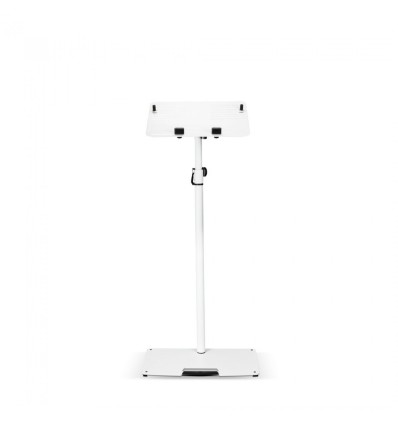 GRAVITY LTS T 02-W