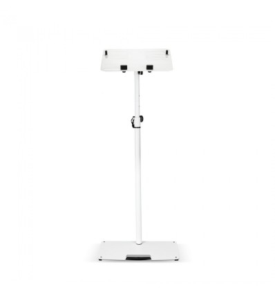 GRAVITY LTS T 02-W