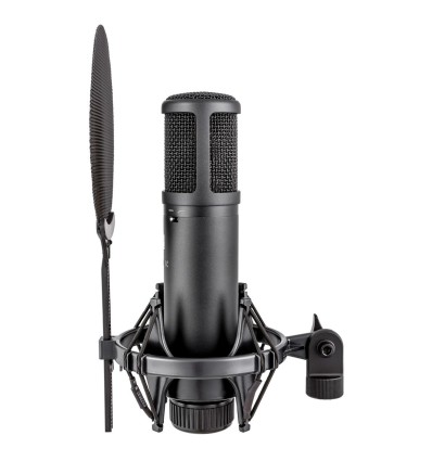 sE Electronics sE2200 - Micrófono de condensador cardioide profesional